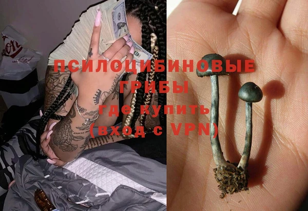 индика Кинешма