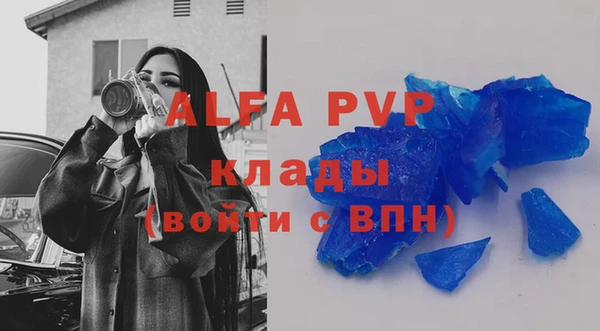 индика Кинешма