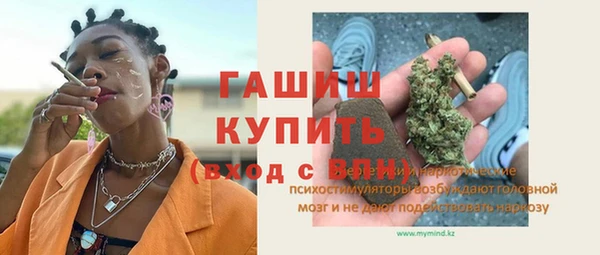 индика Кинешма
