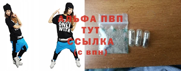 индика Кинешма