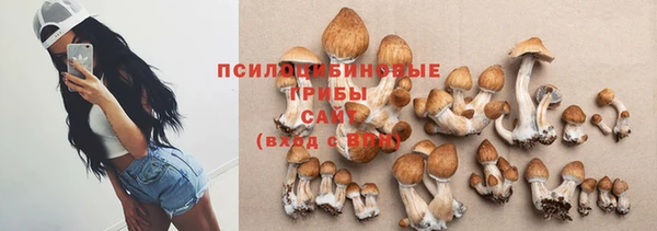 mix Карпинск