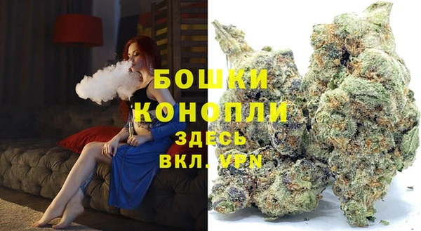 индика Кинешма