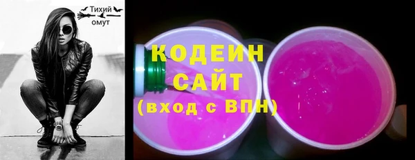 индика Кинешма