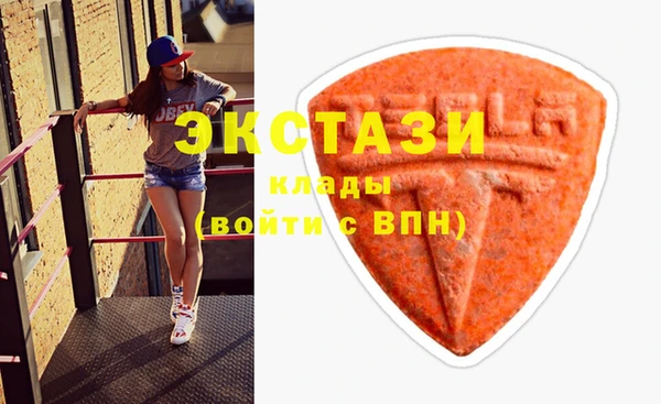 индика Кинешма