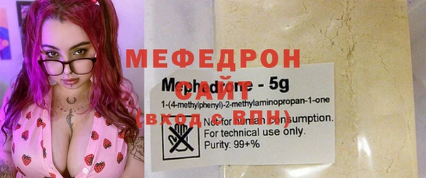 индика Кинешма