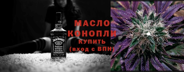 индика Кинешма