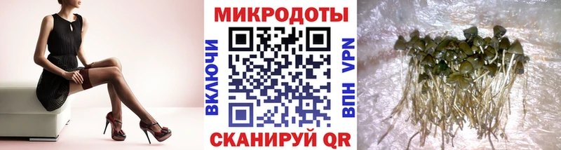 Купить закладки  Медногорск  Галлюциногенные грибы прущие грибы 