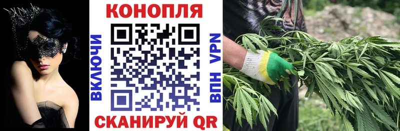 Бошки марихуана OG Kush  Купить закладки  Медногорск 